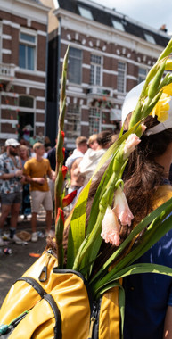 Silvi - Knie Vrouw wandelt richting de finish van de Nijmeegse Vierdaagse. Ze draagt een rugzak met daarin bloemen.